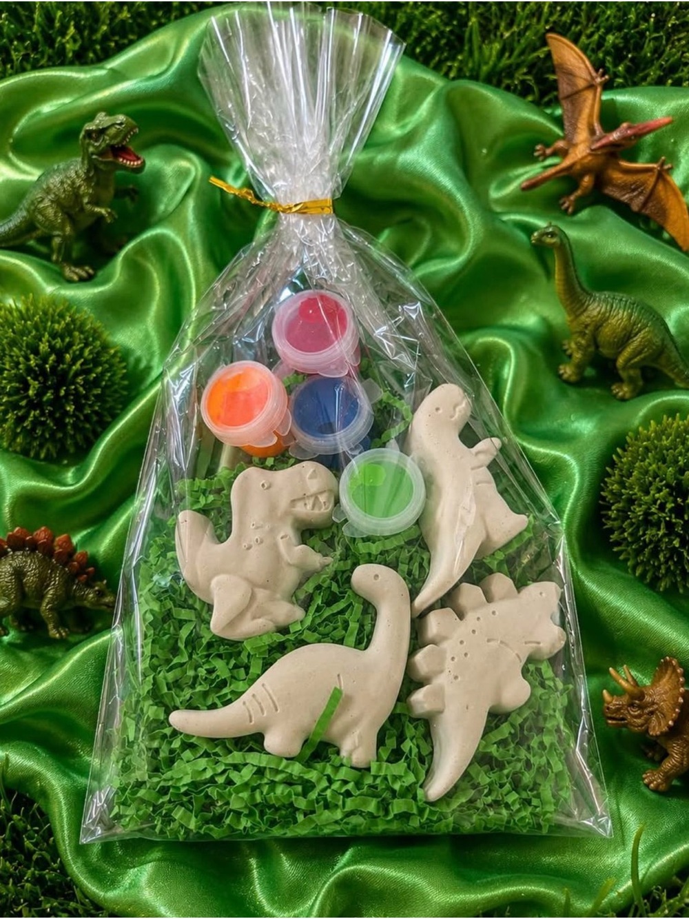 Dinosaur Paint Kit